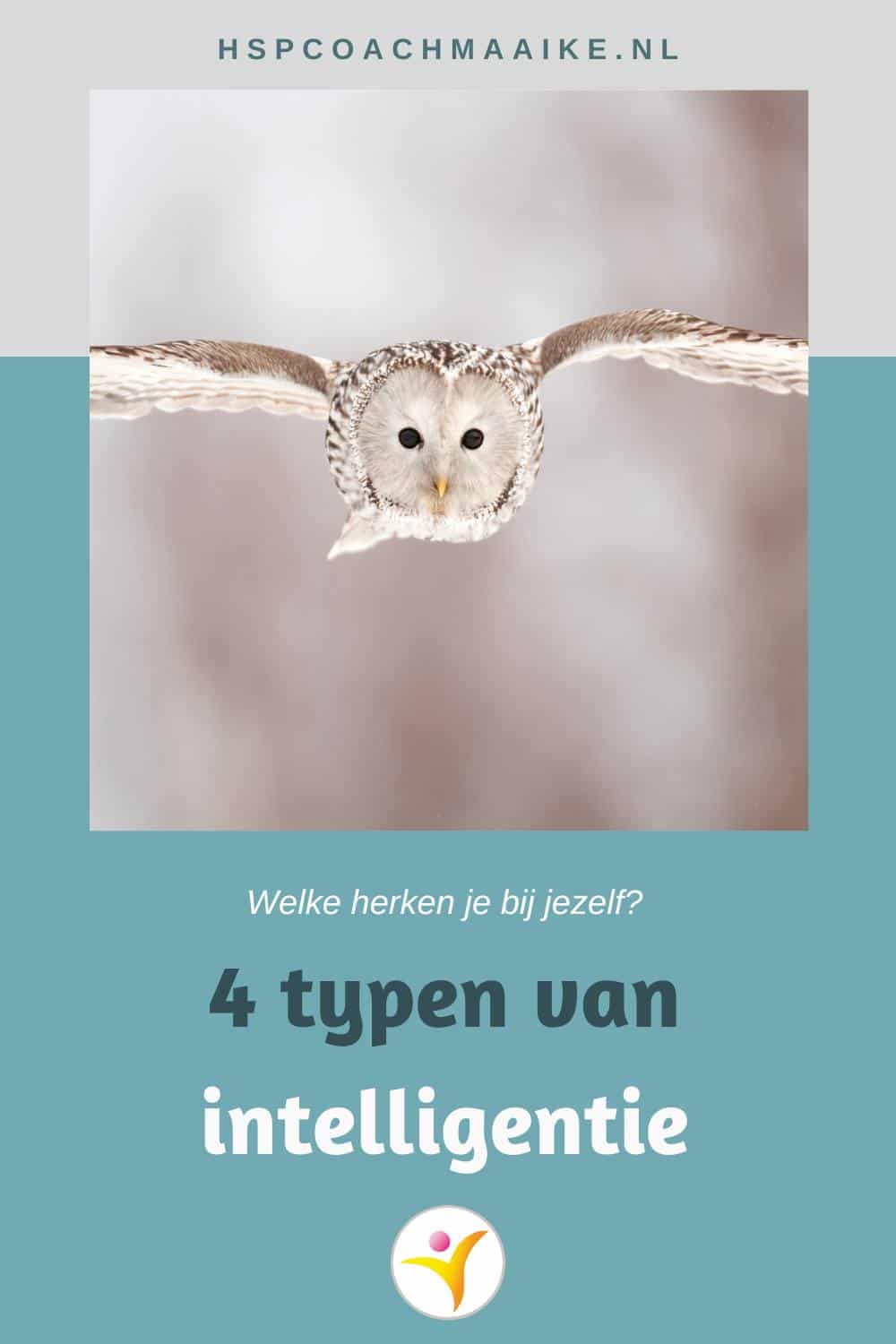 De vier typen van intelligentie