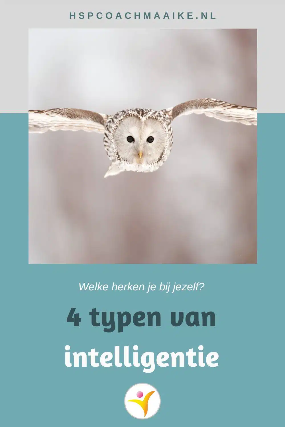 De vier typen van intelligentie