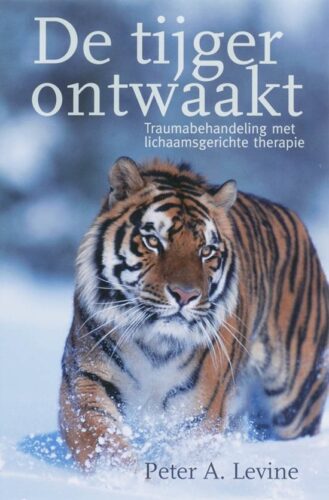 Boeken voor hoogsensitieve mensen