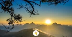 HSP artikelen boordevol tips