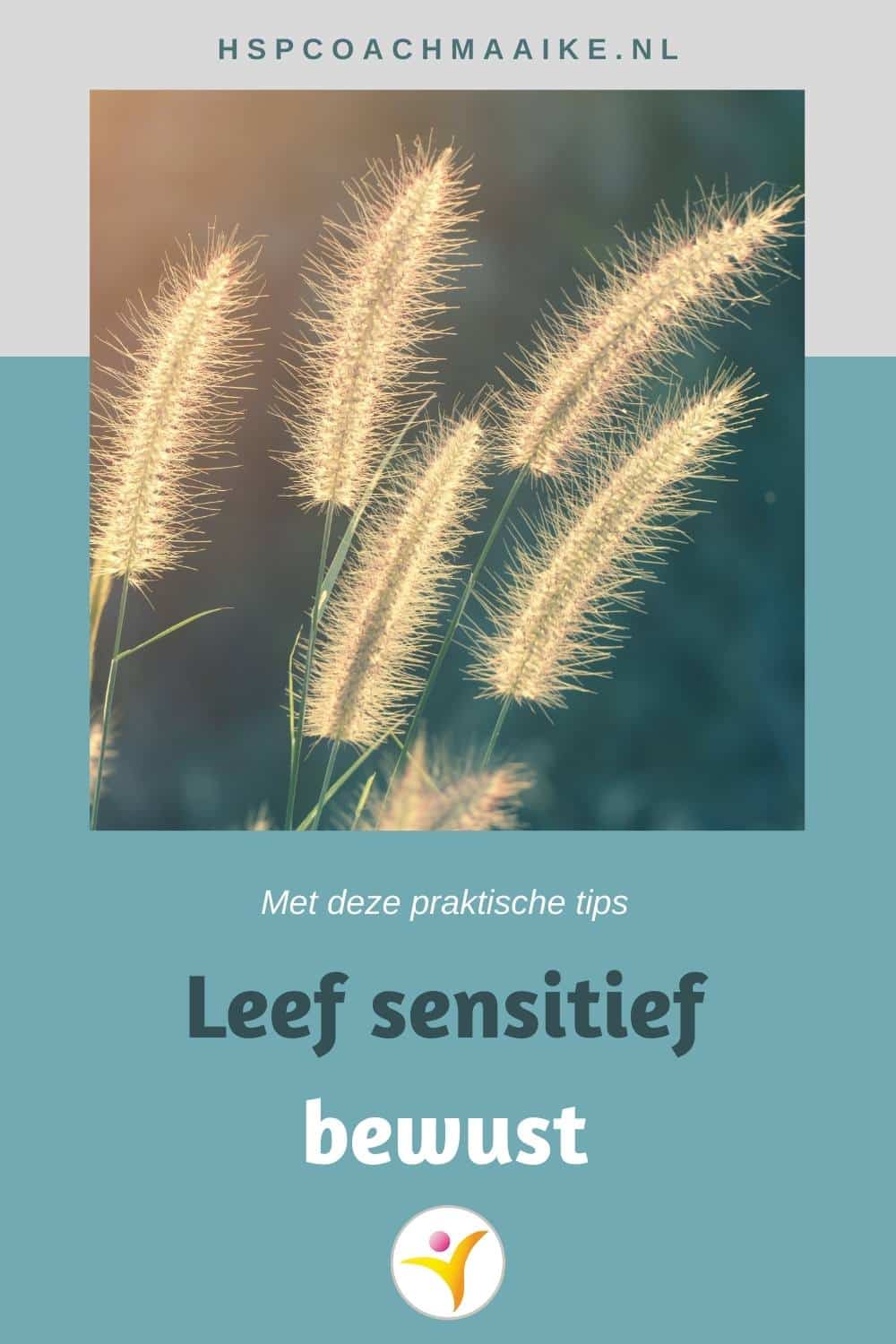 Leef sensitief bewust