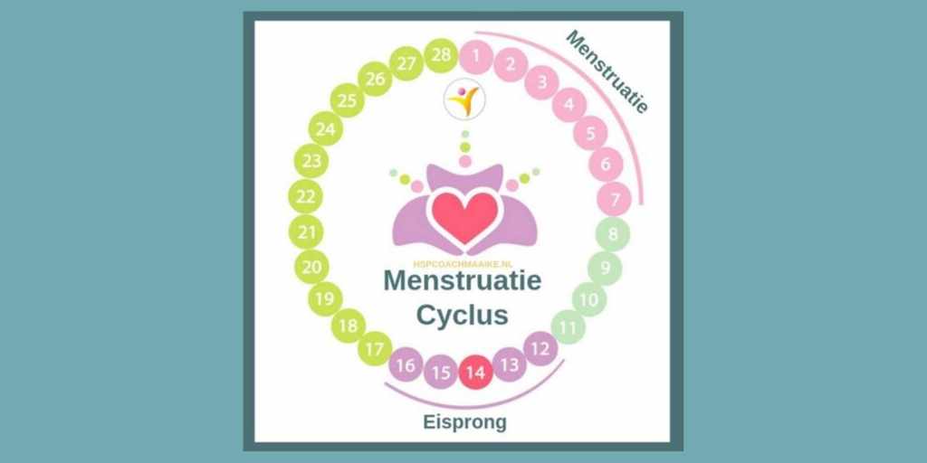 HSP tips om je menstruatie zo comfortabel mogelijk te maken - cyclus