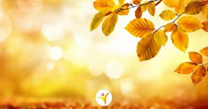 6 tips om de herfst leuker te maken - hooggevoeligheid