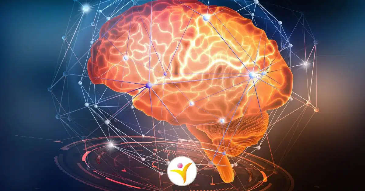 Wetenschappelijke HSP feiten