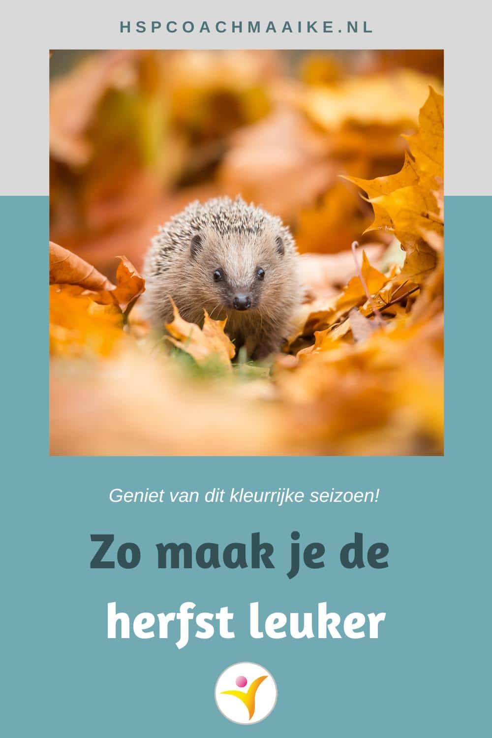 tips om de herfst leuker te maken