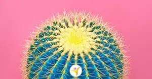 Gevoelig voor prikkels