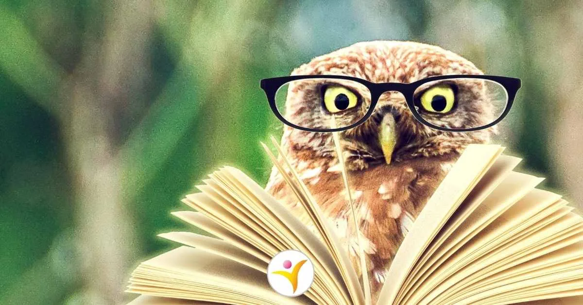 Boekentips over hoogbegaafdheid