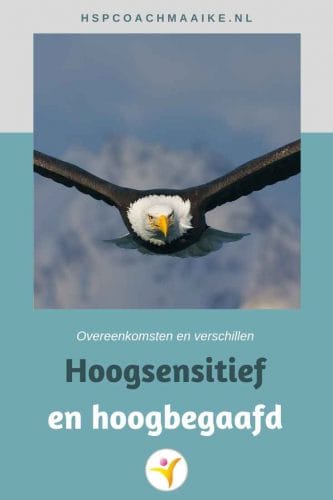 Hoogsensitief en hoogbegaafd; zeearend