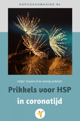 Prikkels voor HSP