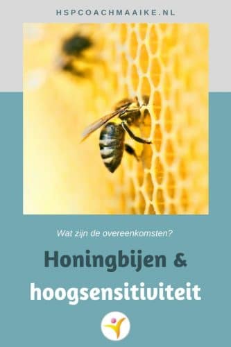 De samenwerking van bijen en overeenkomsten met hoogsensitiviteit