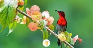 signalen dat je jezelf tekort doet als HSP