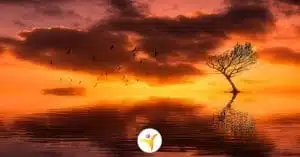 Mindfulness voor HSP