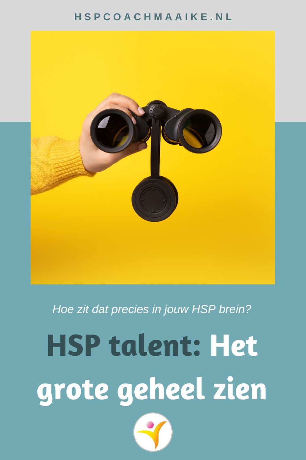 HSP talent het grote geheel zien