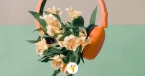 De positieve effecten van muziek voor HSP