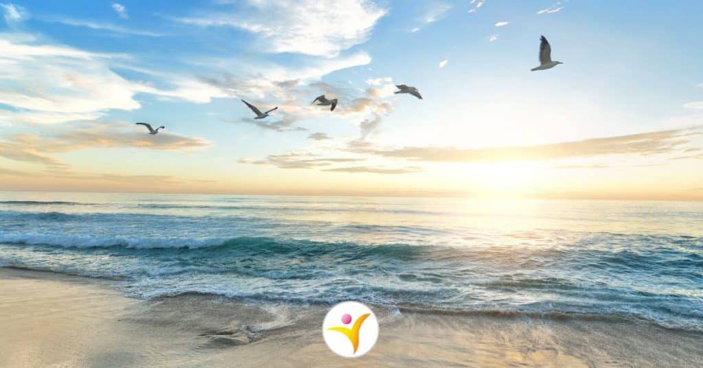 Beter in je vel zitten als HSP