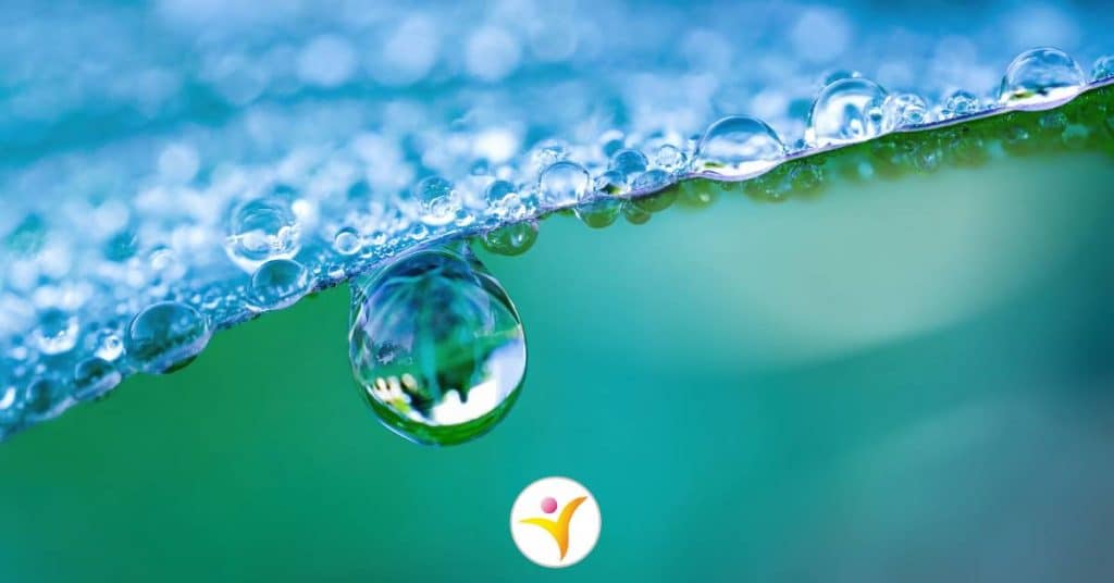 Ontdekken dat je HSP bent - bewust worden van je hoogsensitiviteit