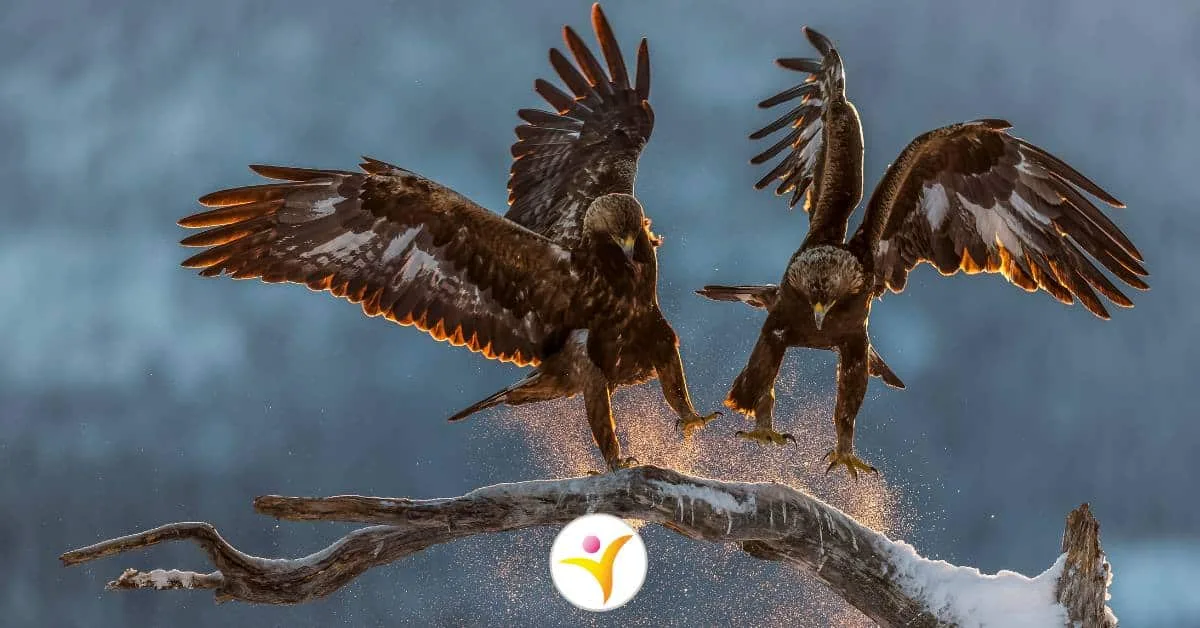 Onderzoek zijn hoogbegaafden ook hoogsensitief