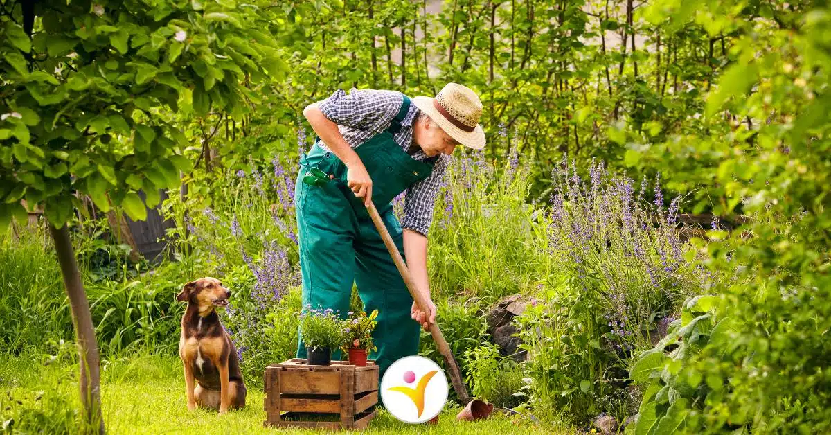 Originele cadeaus voor de tuinliefhebber