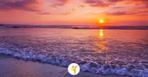 Ideale vakantie plannen als HSP