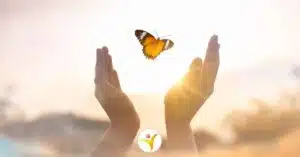 Waarom is loslaten voor HSP soms zo moeilijk