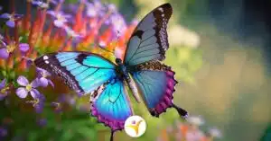 Uit de rushmodus als je hoogsensitief bent