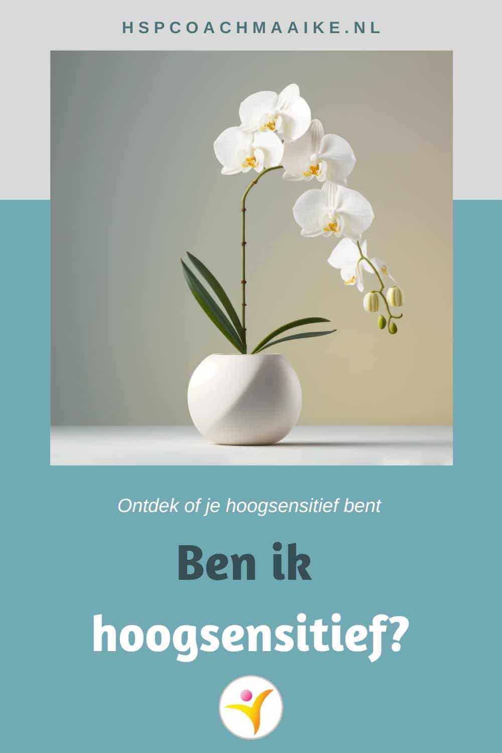 Ben ik hoogsensitief?