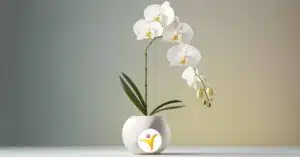 Ben ik hoogsensitief?