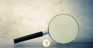 Feiten over hoogsensitiviteit