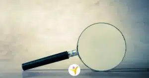 Feiten over hoogsensitiviteit