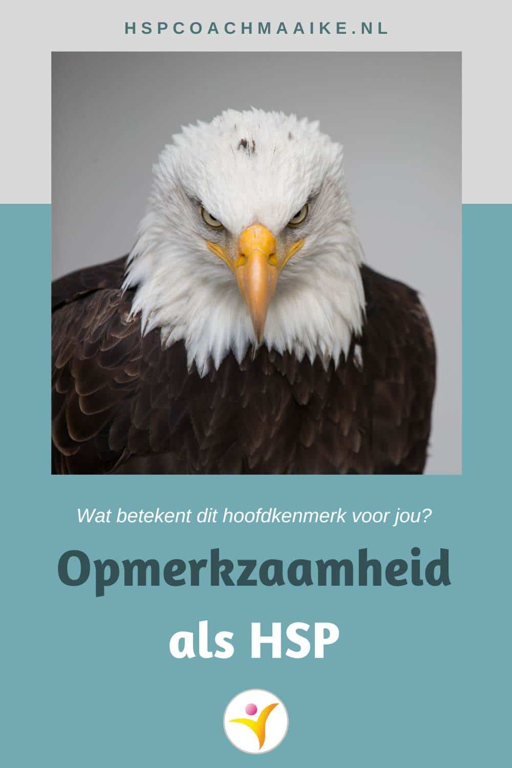 Opmerkzaamheid bij HSP
