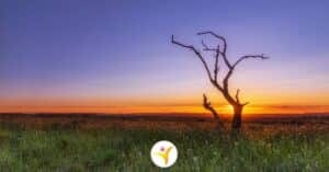 Ben je gevoelig voor de mening van anderen?