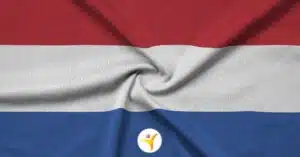 Hoogsensitiviteit en de verkiezingen