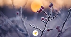 Hoe je met de donkere maanden omgaat