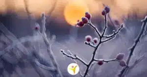 Hoe je met de donkere maanden omgaat