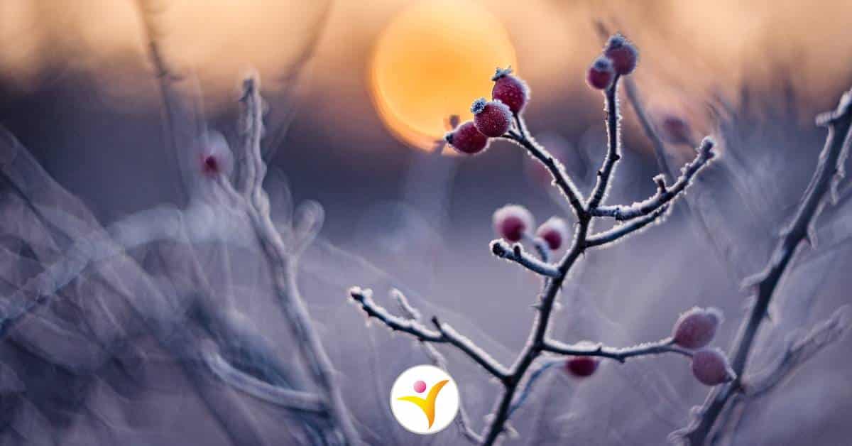 Hoe je met de donkere maanden omgaat