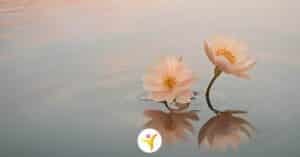 Dingen waar je als HSP geen invloed op hebt