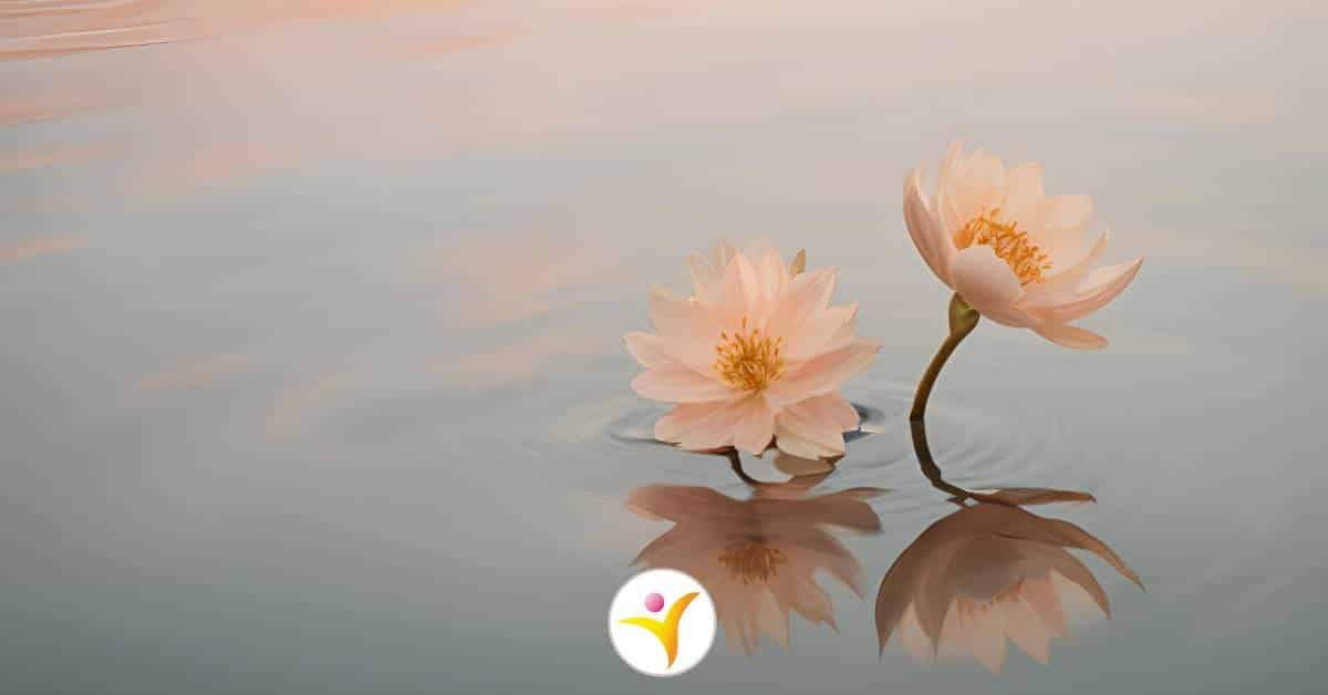 Dingen waar je als HSP geen invloed op hebt