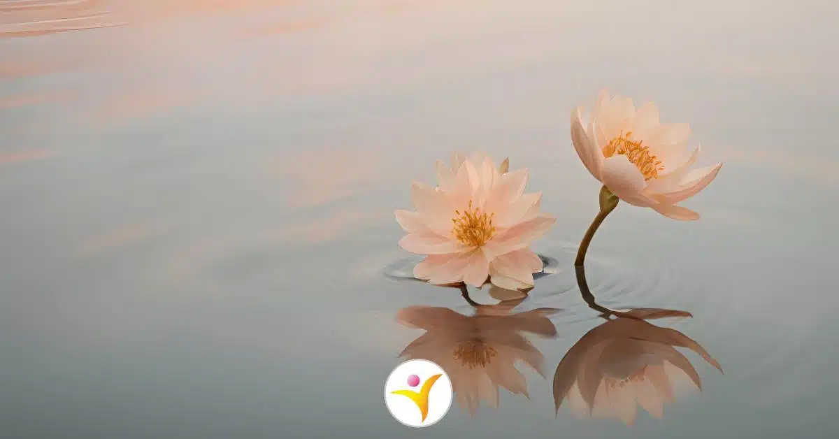 Dingen waar je als HSP geen invloed op hebt