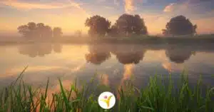 HSP en machteloosheid