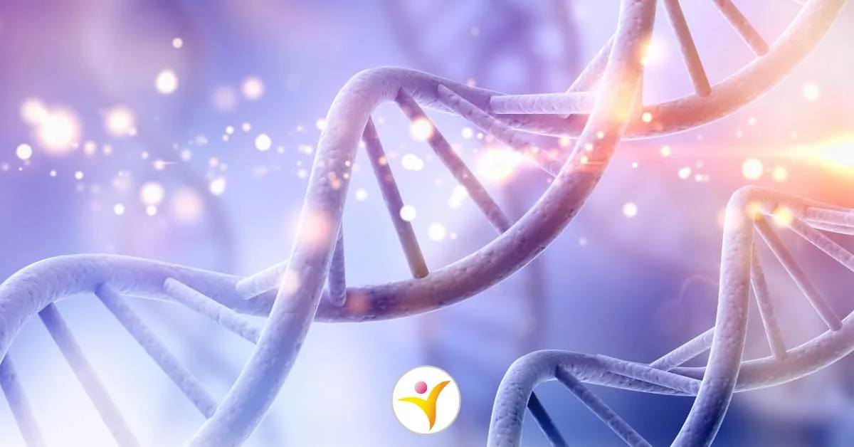 De laatste stand van zaken in de wetenschap over hoogsensitiviteit