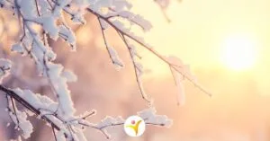 Sneeuw en hoogsensitiviteit