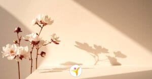 tips voor meer energie als HSP