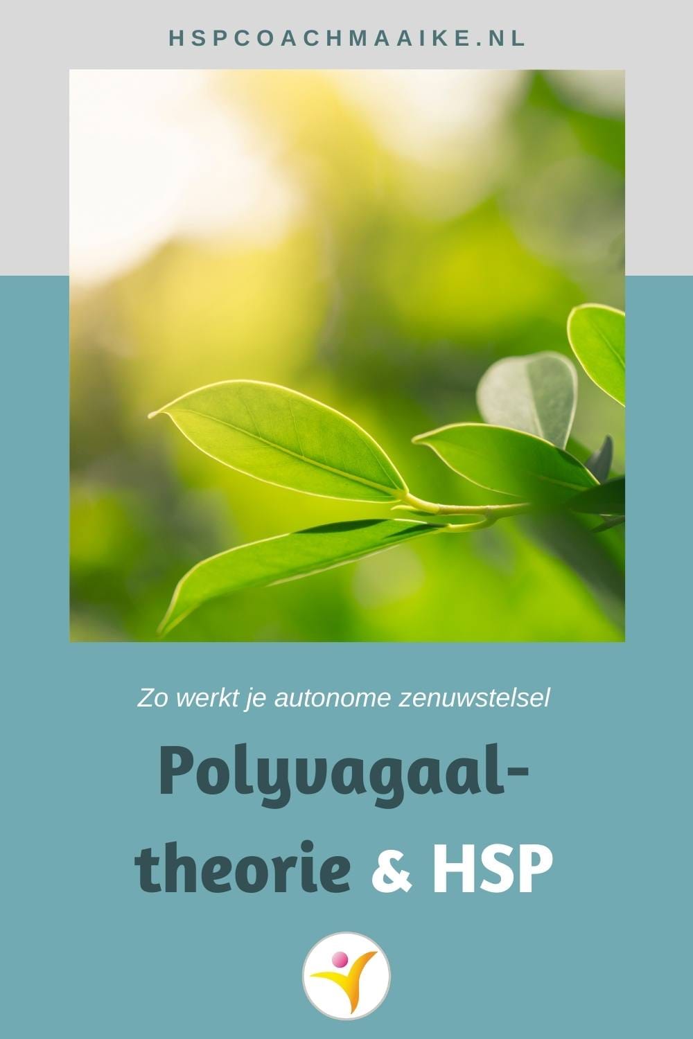 De polyvagaaltheorie voor HSP