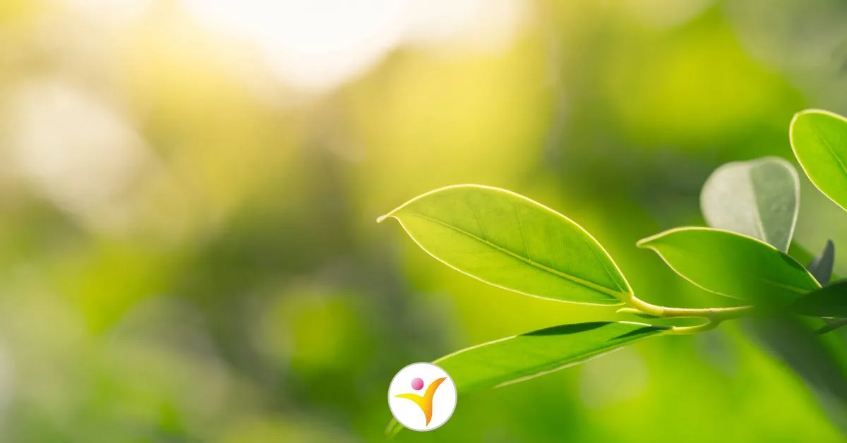 De polyvagaaltheorie voor HSP