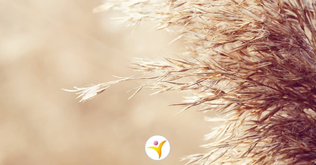 Emoties aanvoelen als HSP