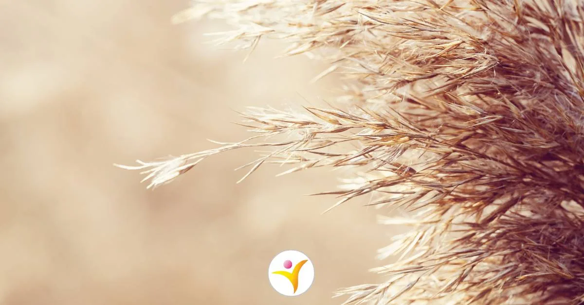 Emoties aanvoelen als HSP