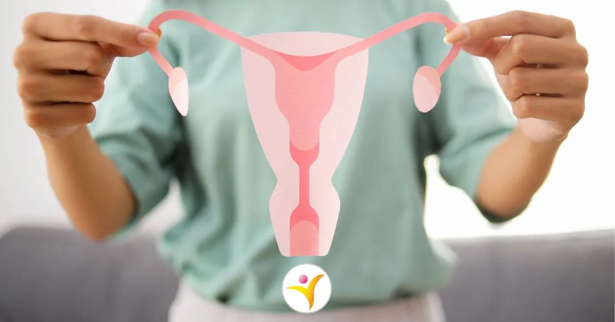 Perimenopauze en HSP