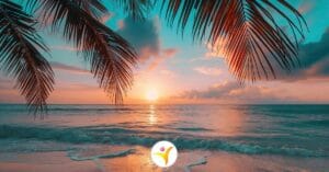 Wat is hoogsensitiviteit niet