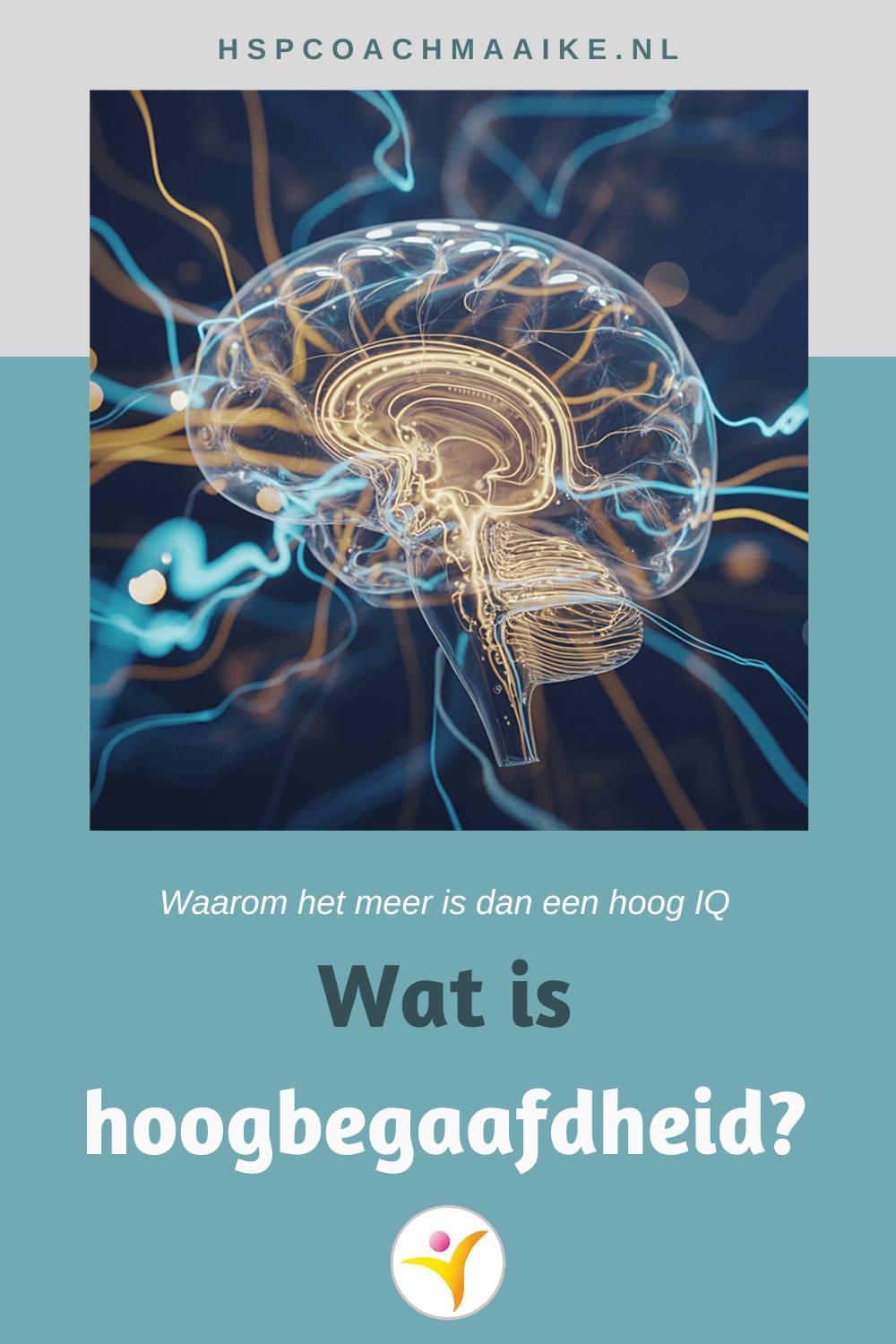 Wat is hoogbegaafdheid?