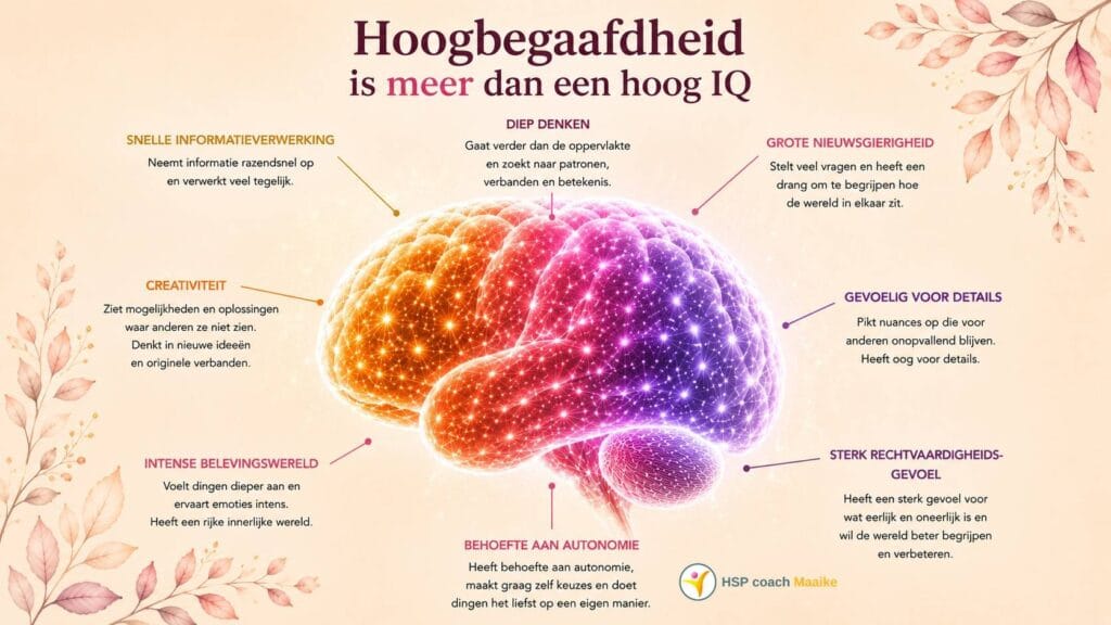 Wat is hoogbegaafdheid